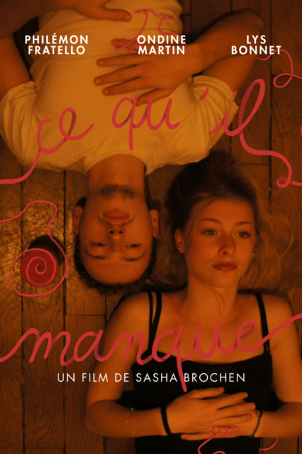 Ce qu'il manque