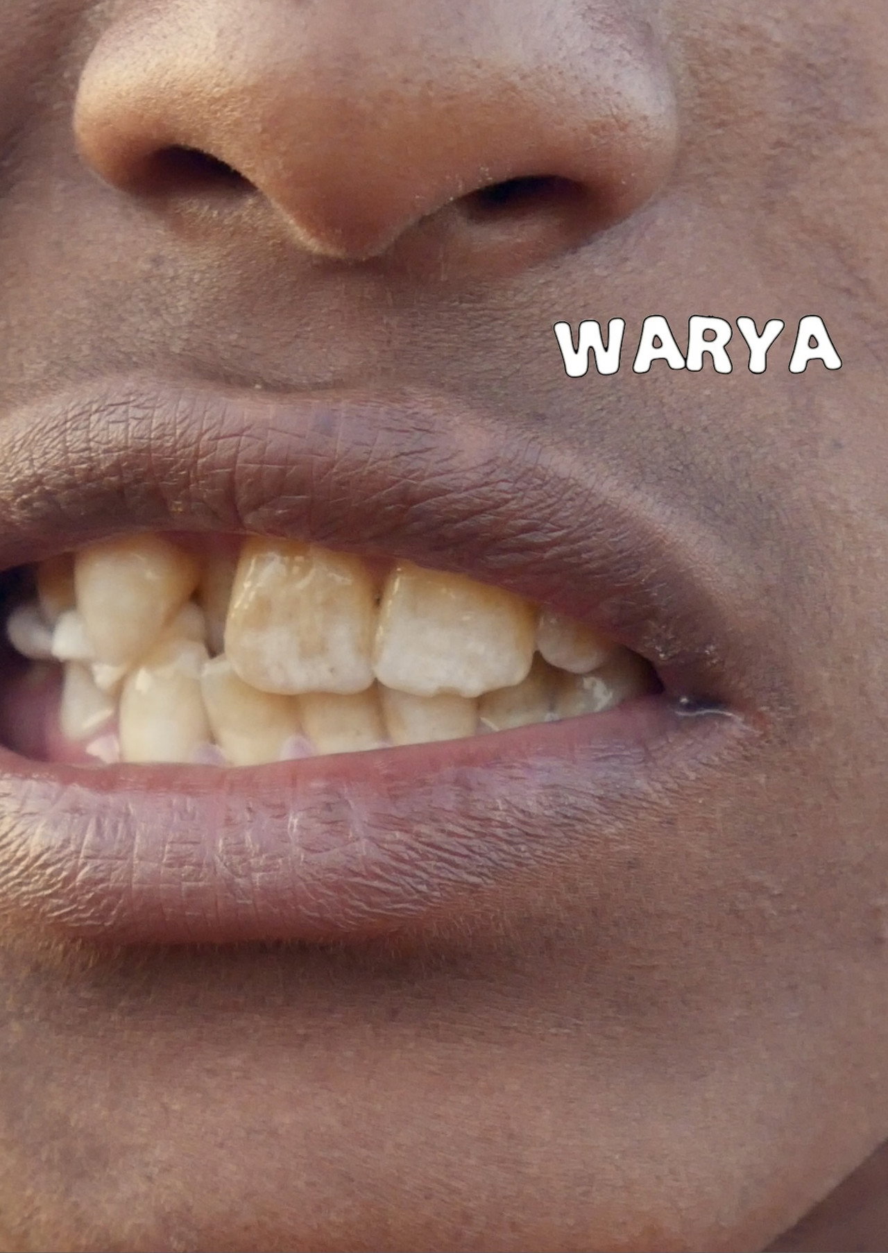 Warya filmaffisch