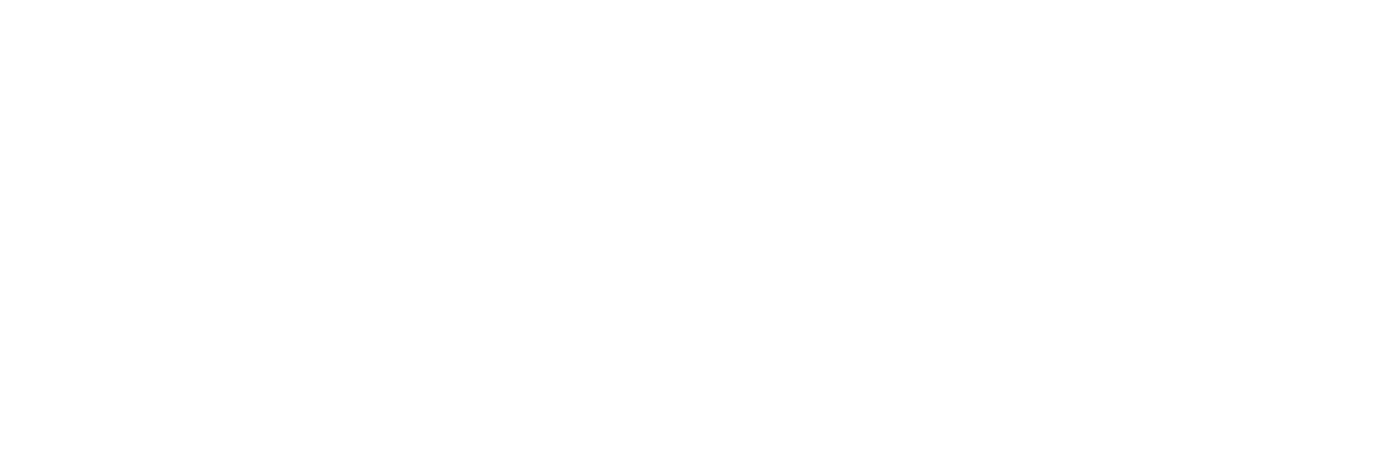 NO BLINK Group