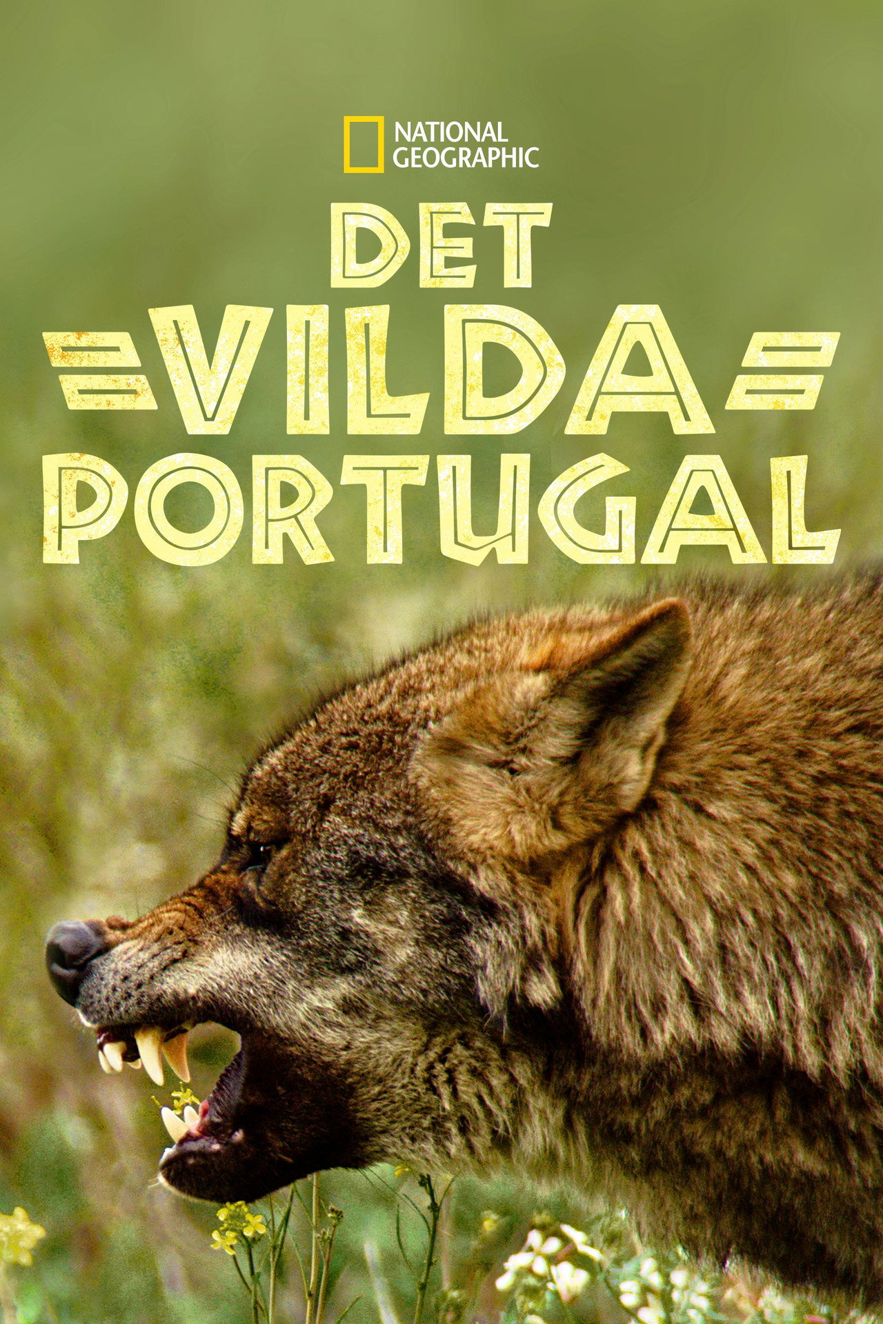Wild Portugal filmaffisch
