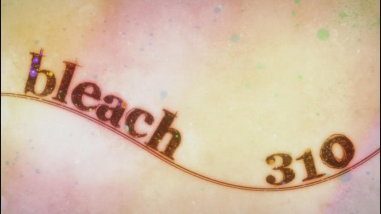 Bleach - Season 1 Episode 310 : Ichigo's Resolution! The Price of the Fierce Battle