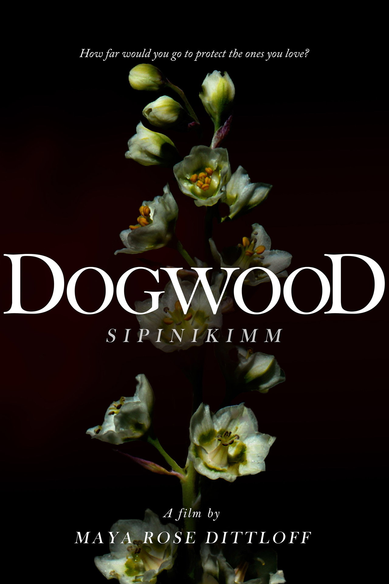 Dogwood (Sipinikimm) Backdrop