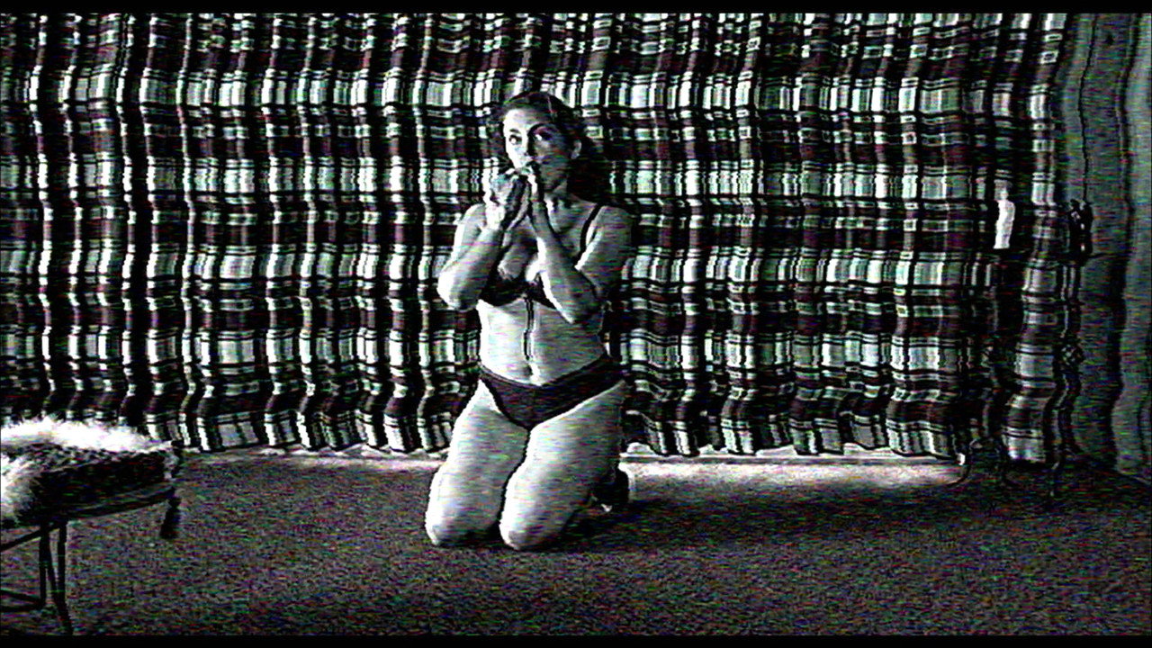 The Poughkeepsie Tapes backdrop