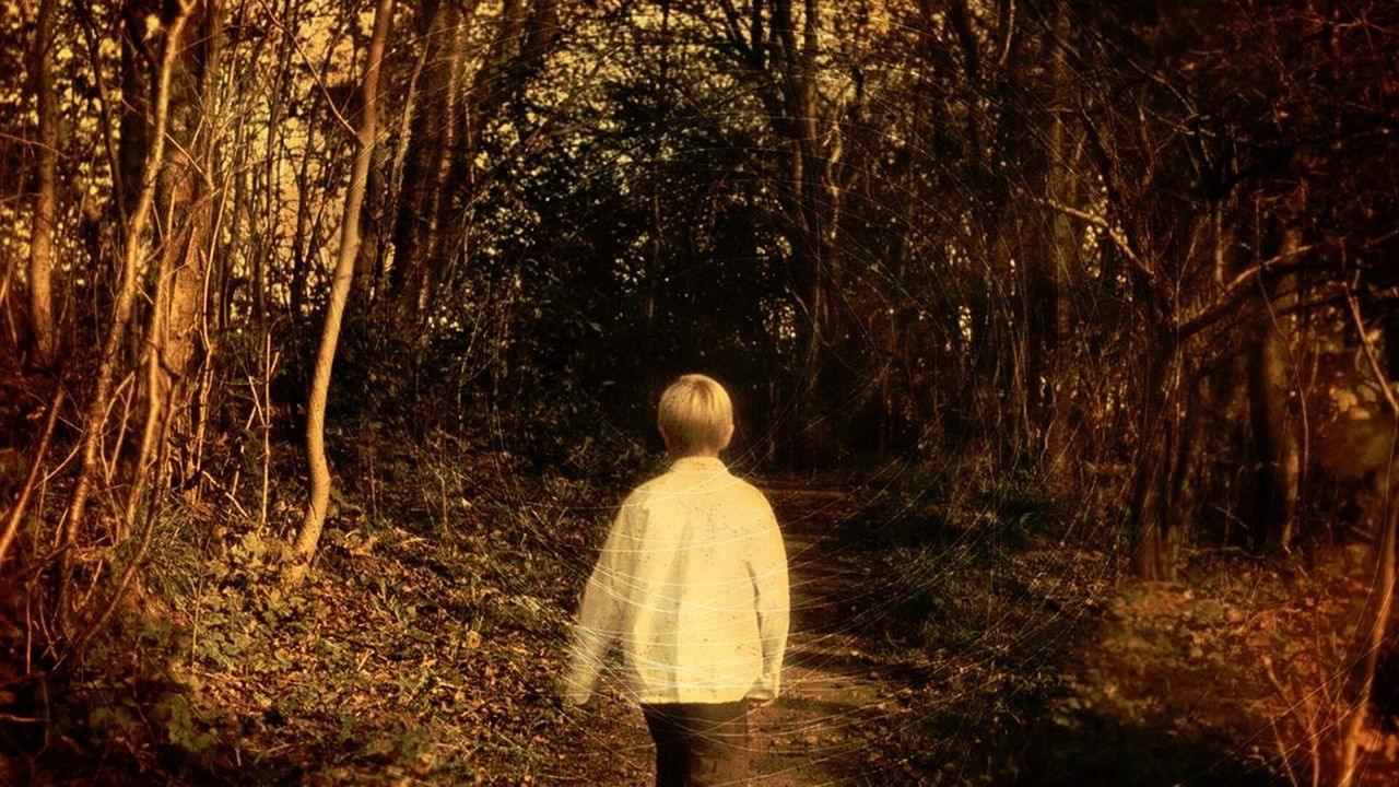 Porcupine Tree: Never Stop the Car on a Drive in the Dark backdrop