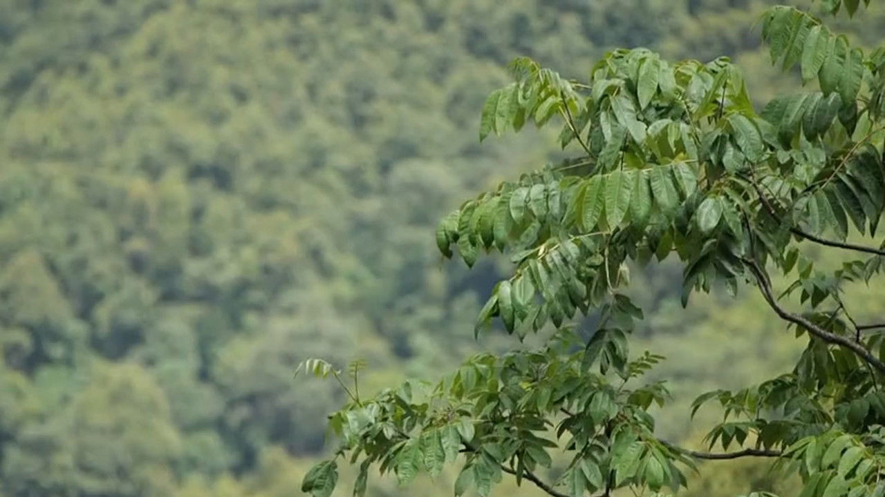 传奇故事 — Épisode 81