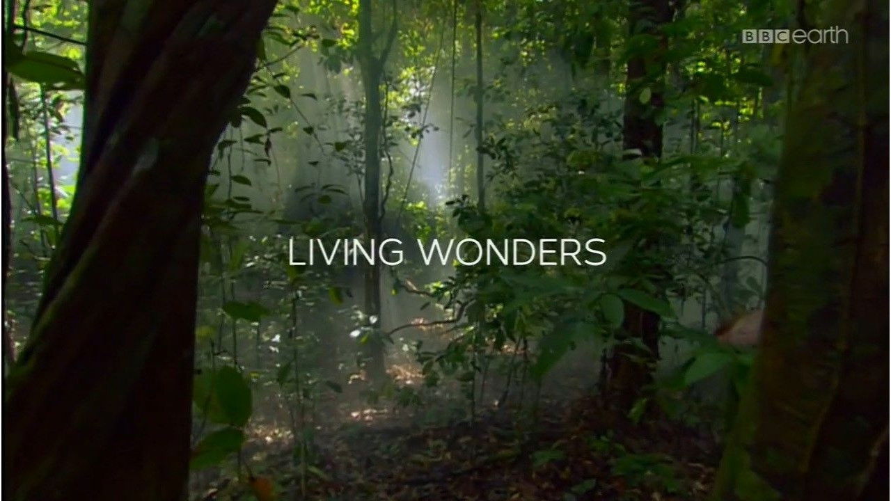 Living Wonders