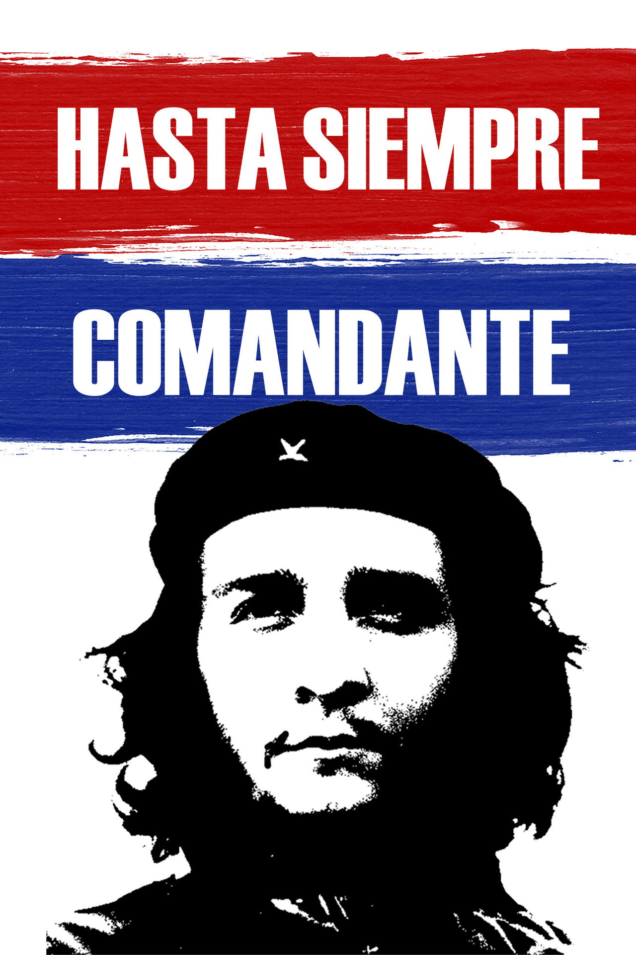 Hasta Siempre Comandante filmaffisch
