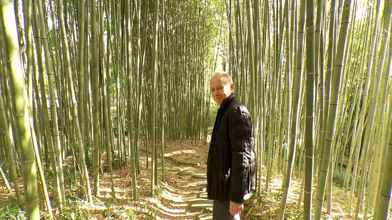 Japanology Plus - Season 8 Episode 25 : Bamboo