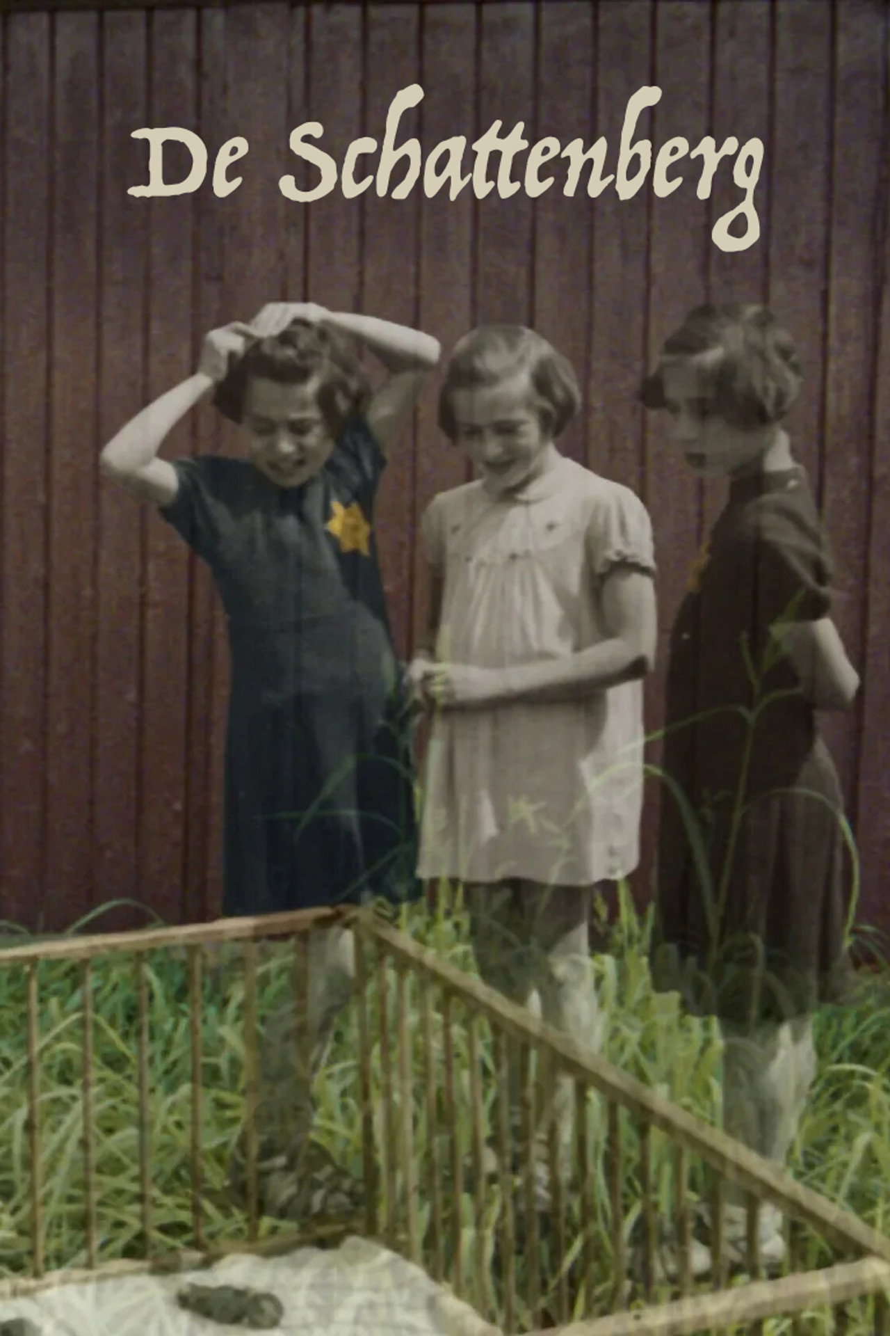De Schattenberg filmaffisch