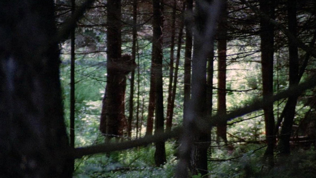 Dark August still 5