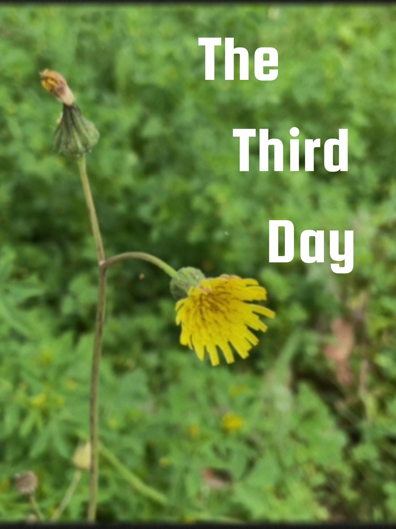 The Third Day poster