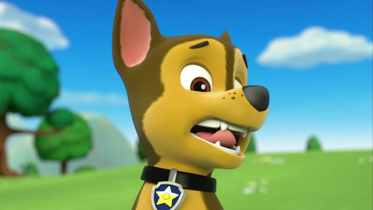 PAW Patrol 1. Sezon 38. Bölüm