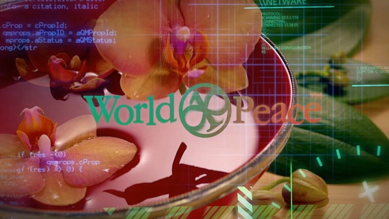 Million Dollar Extreme Presents: World Peace still 12