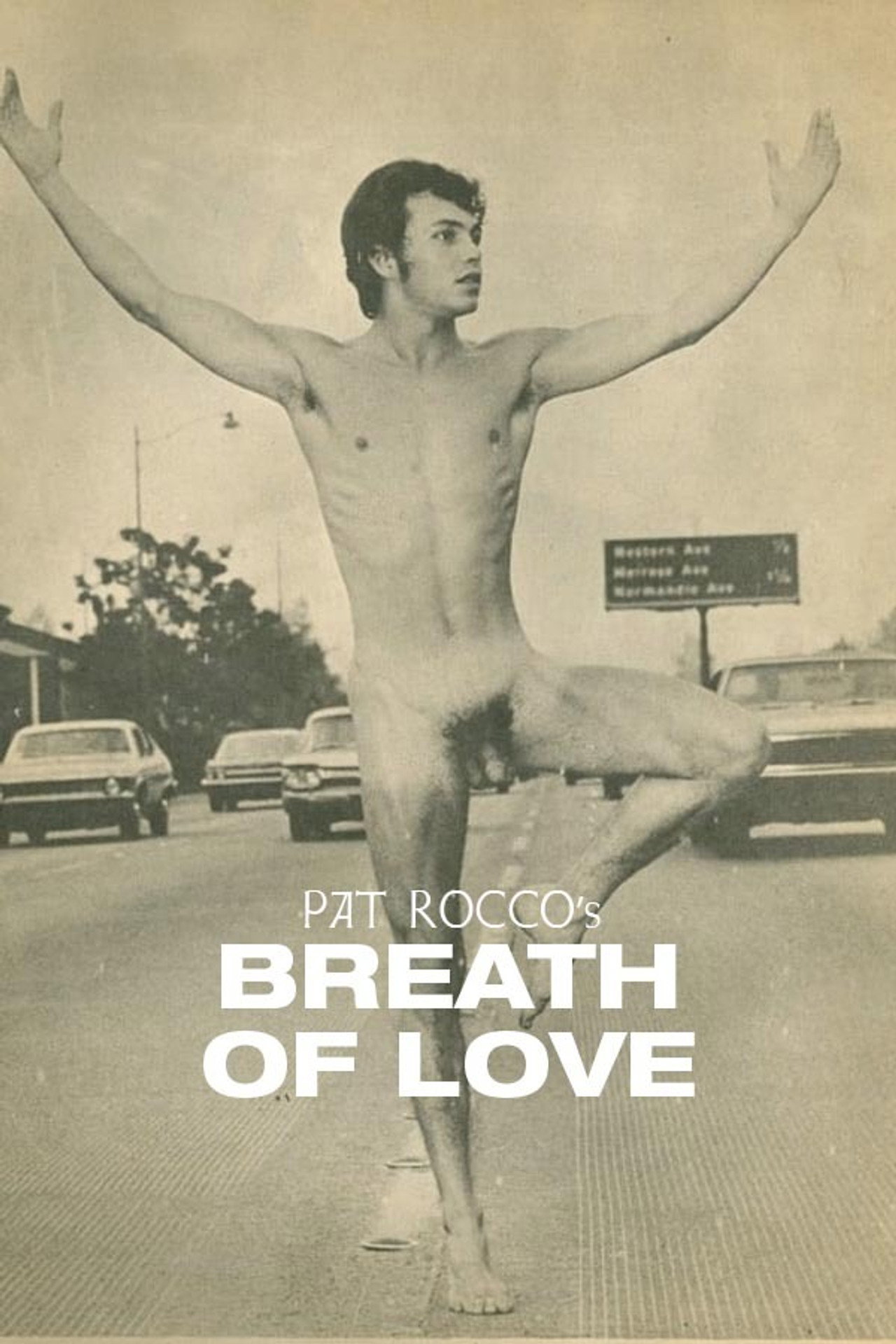 Breath of Love Backdrop
