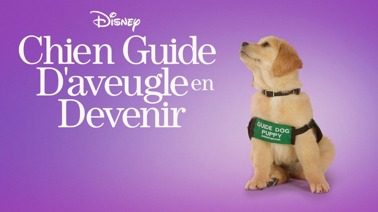 Chien Guide D'aveugle en Devenir background