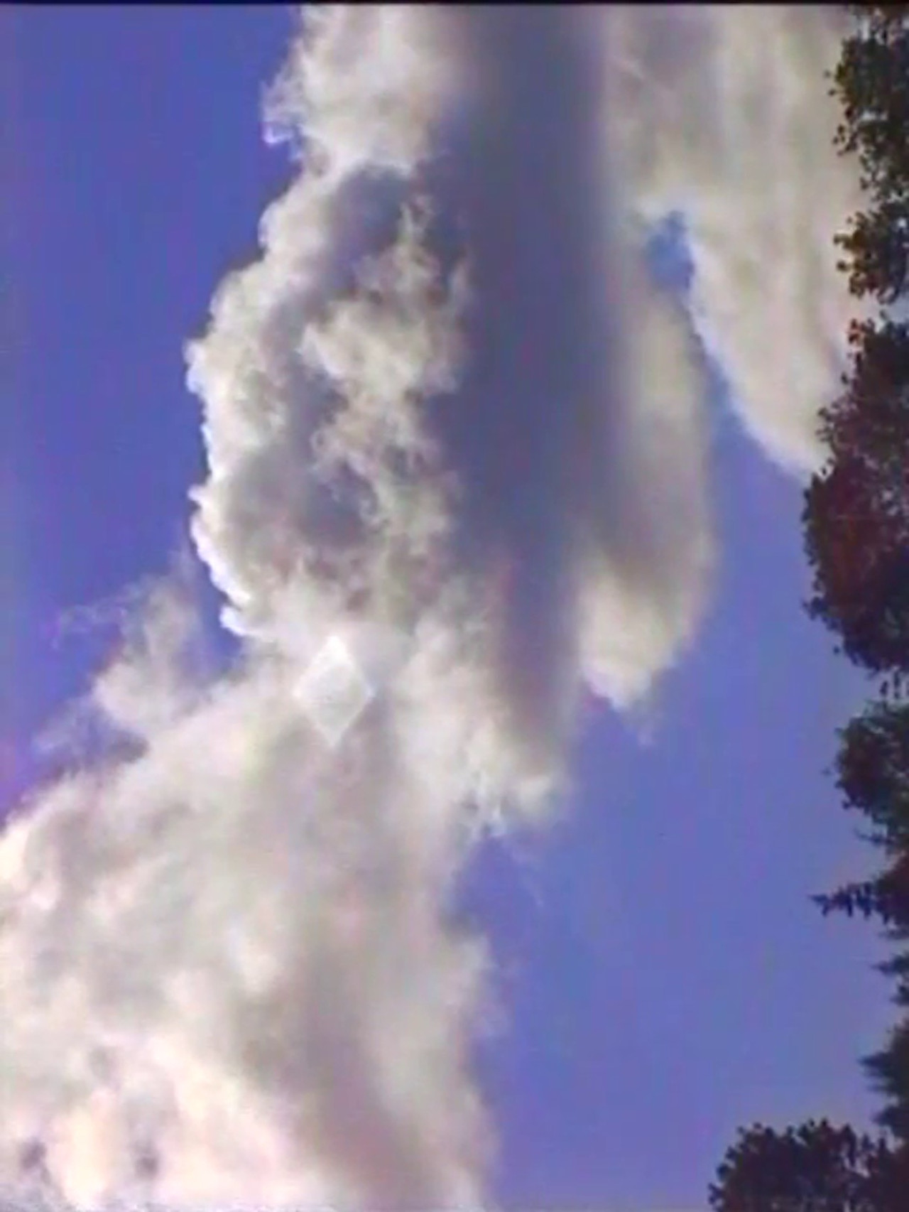 Spring (The Laundry Lesson) Backdrop