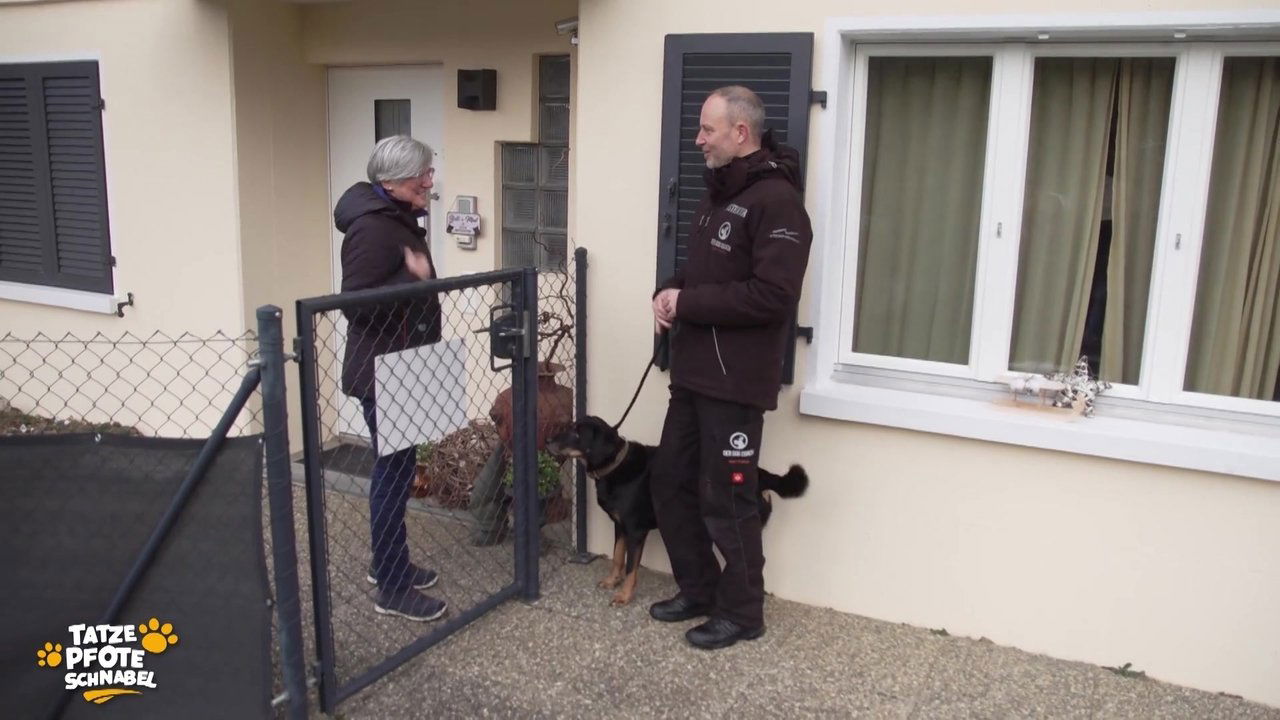 Tatze, Pfote, Schnabel - Season 3 Episode 4 : Episode 4