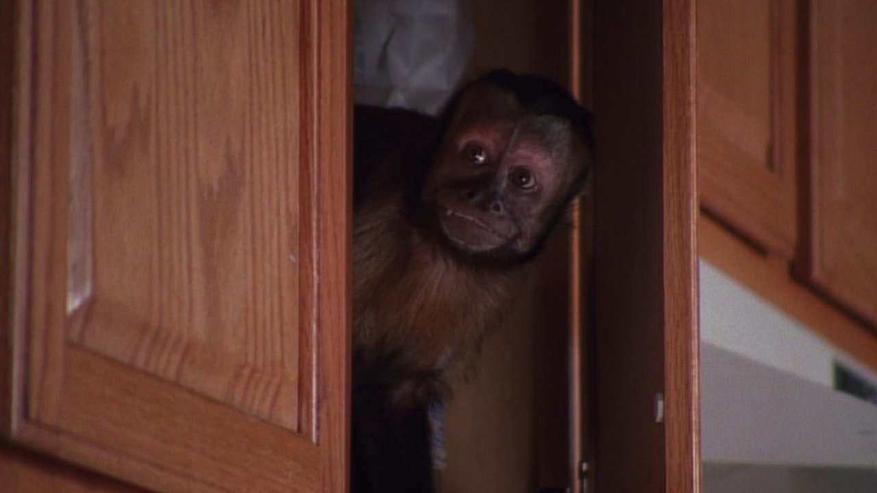 Malcolm in the Middle - Season 3 Episode 22 : Monkey