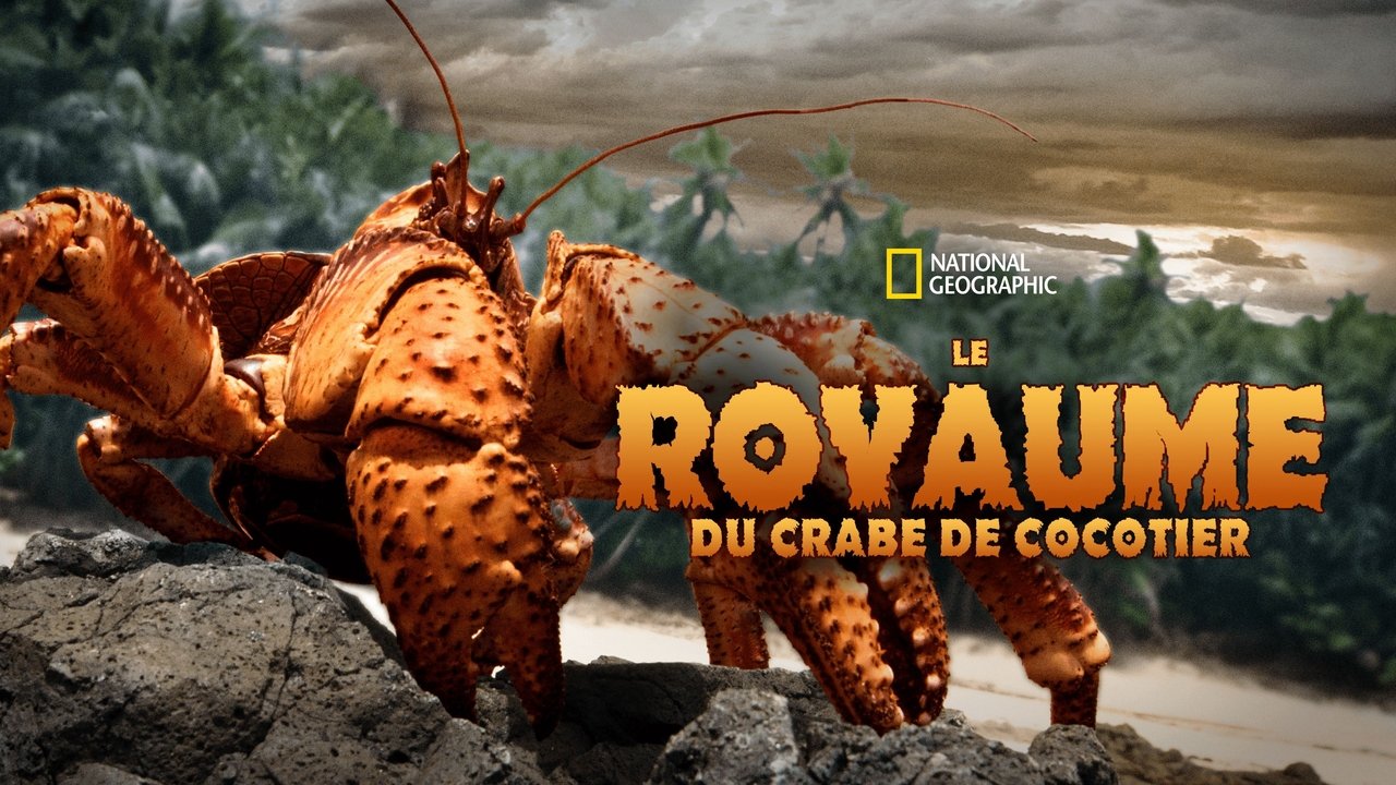 The Giant Robber Crab background