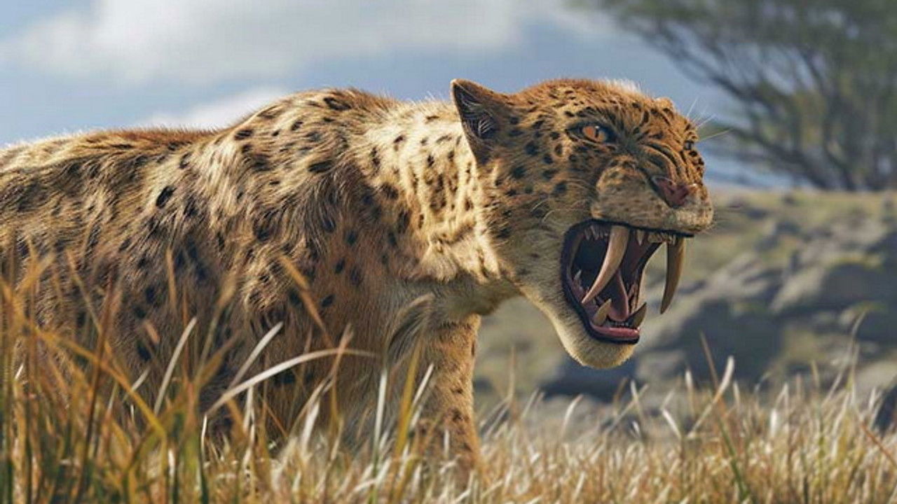 Science grand format — Le mystérieux tigre à dents de sabre