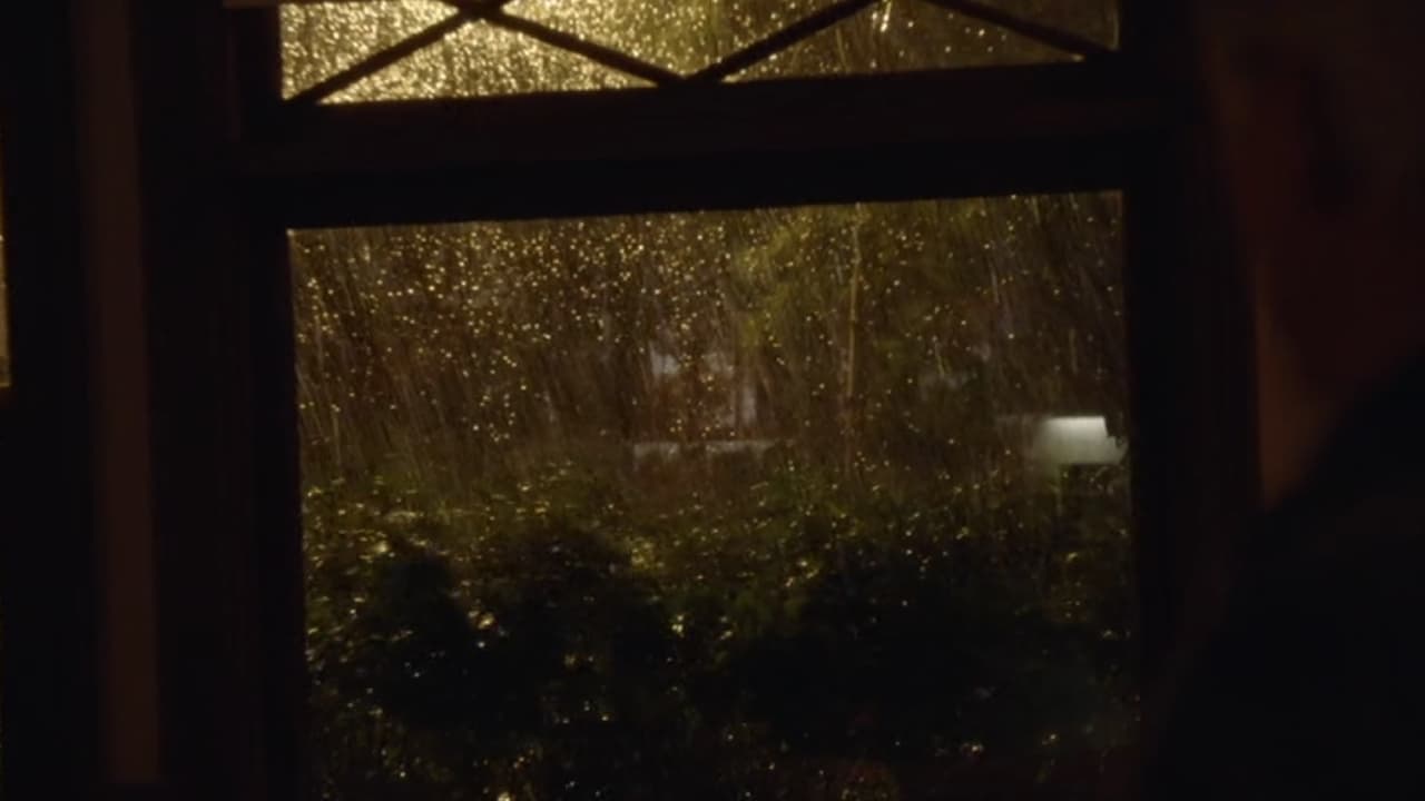 NCIS - Season 0 Episode 114 : Make It Rain