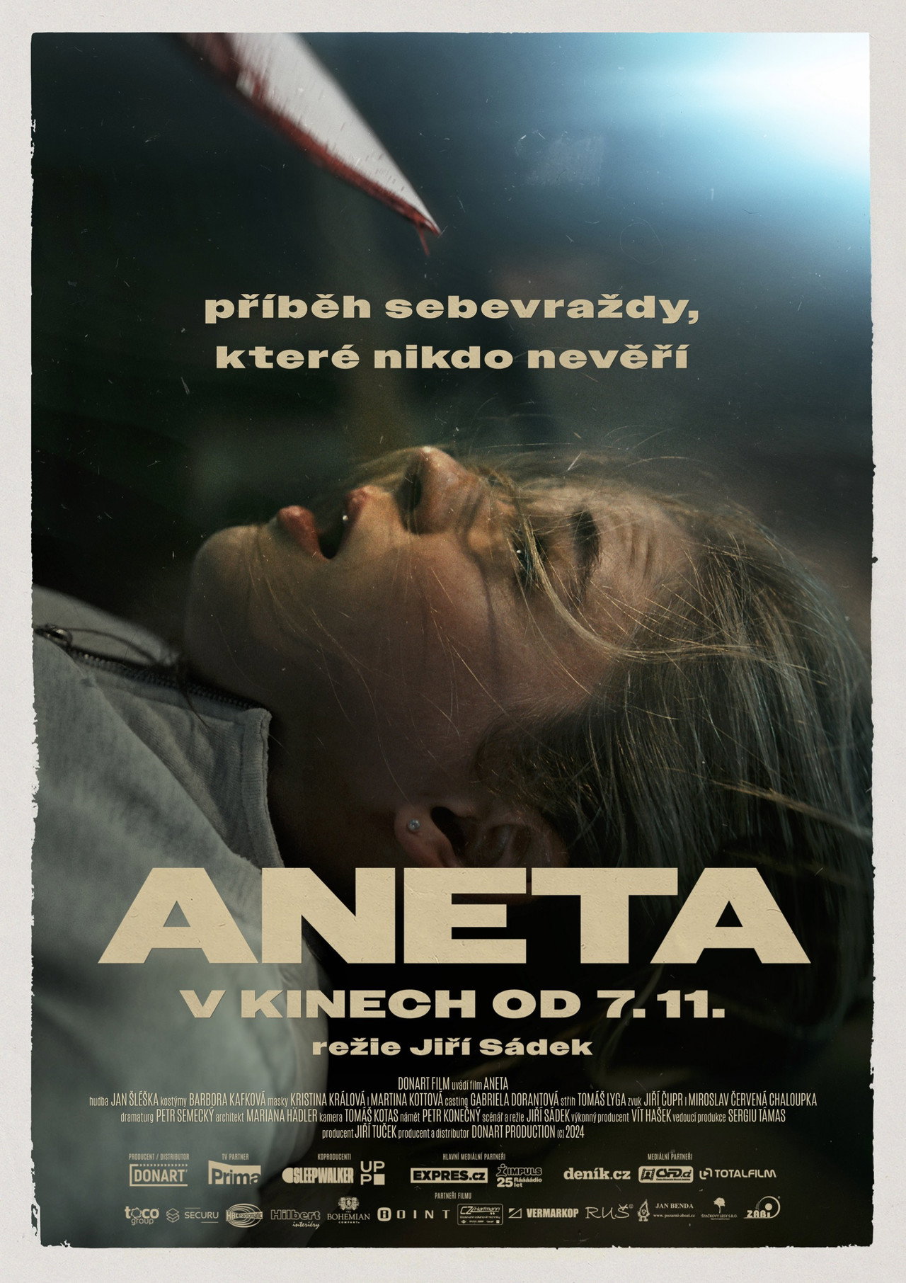 Aneta filmaffisch