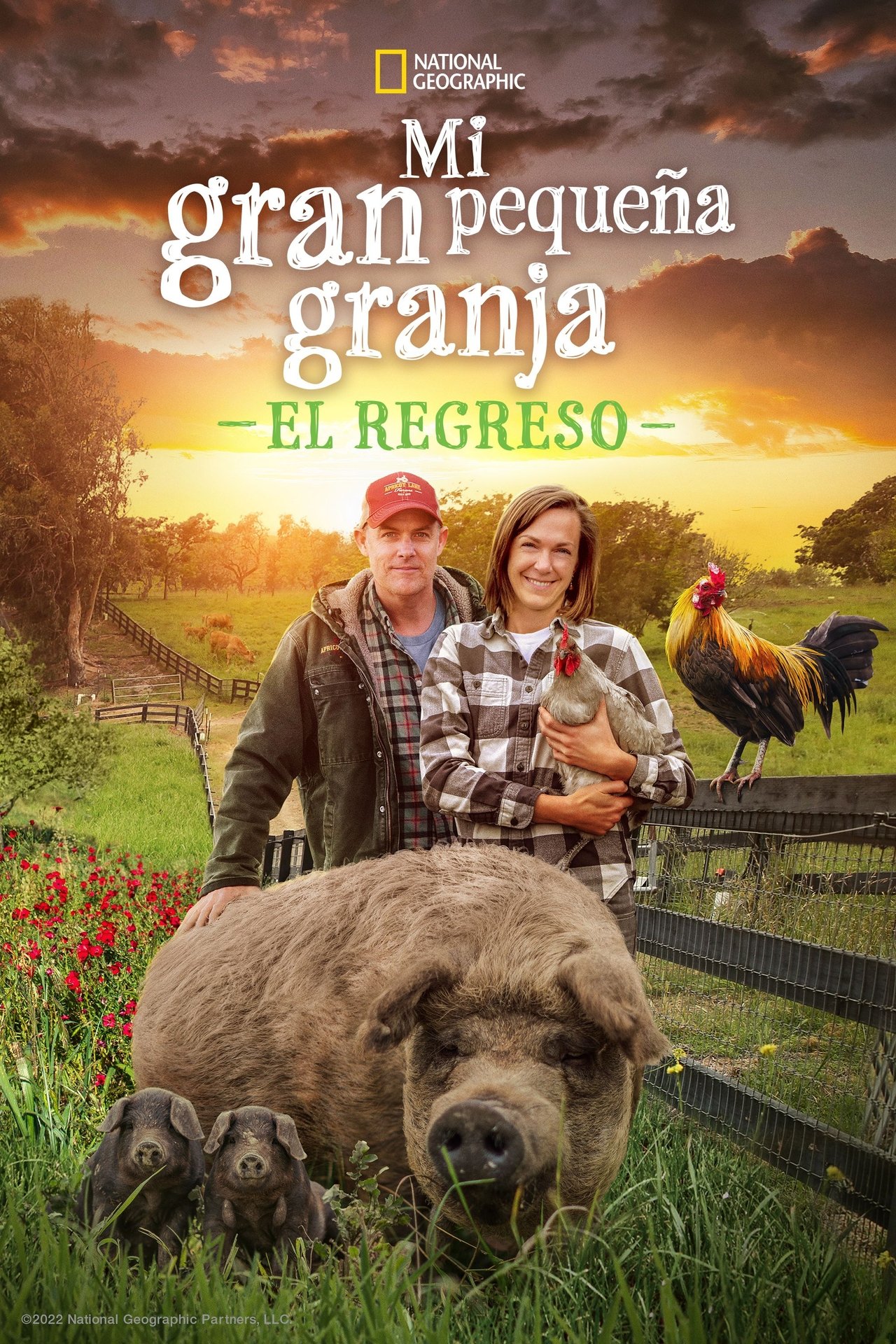 Ver Mi gran pequeña granja El regreso (2022) Online Latino HD Pelisplus Ver Mi gran pequeña granja El regreso (2022) Online Latino HD Pelisplus