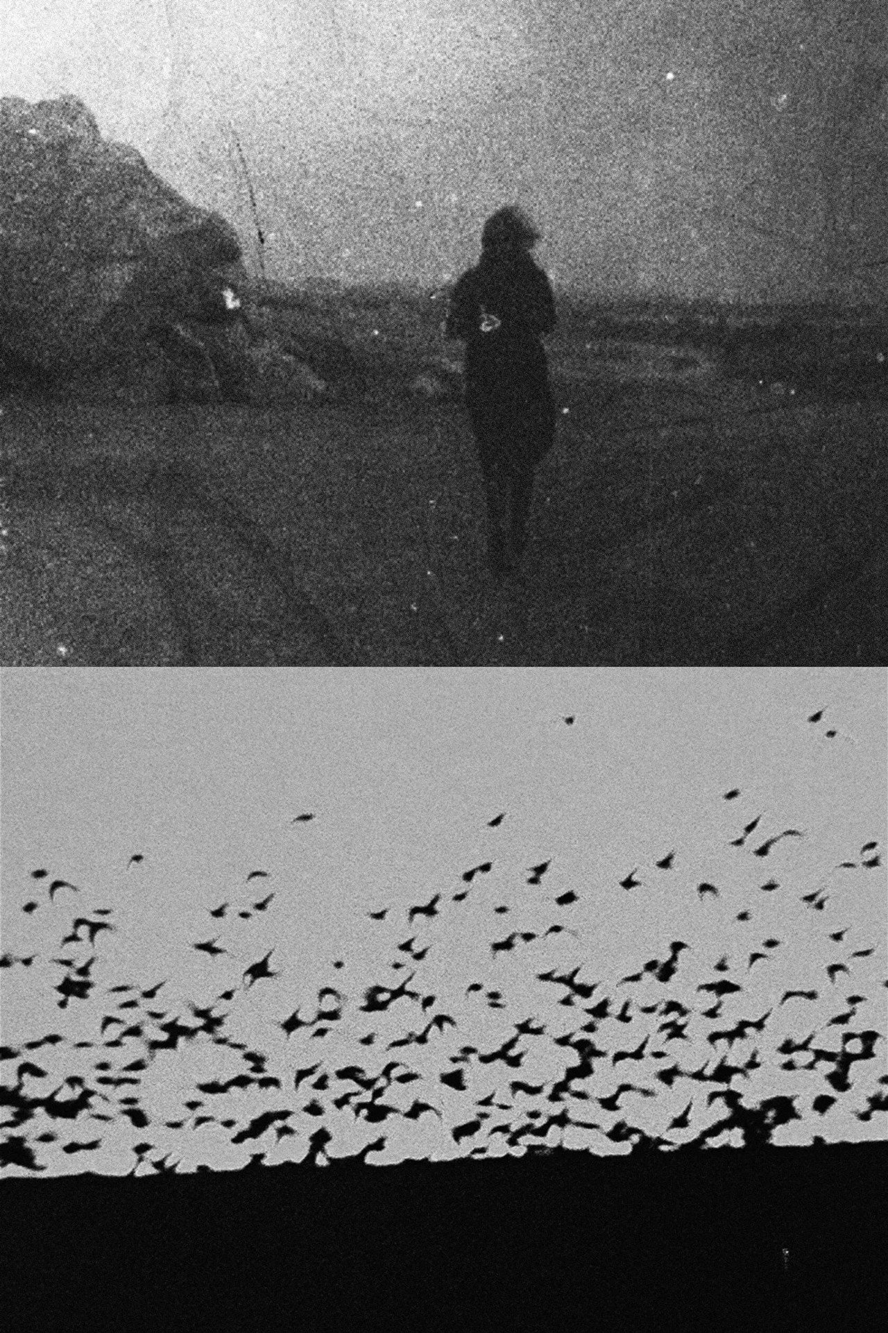 The Ghost Image