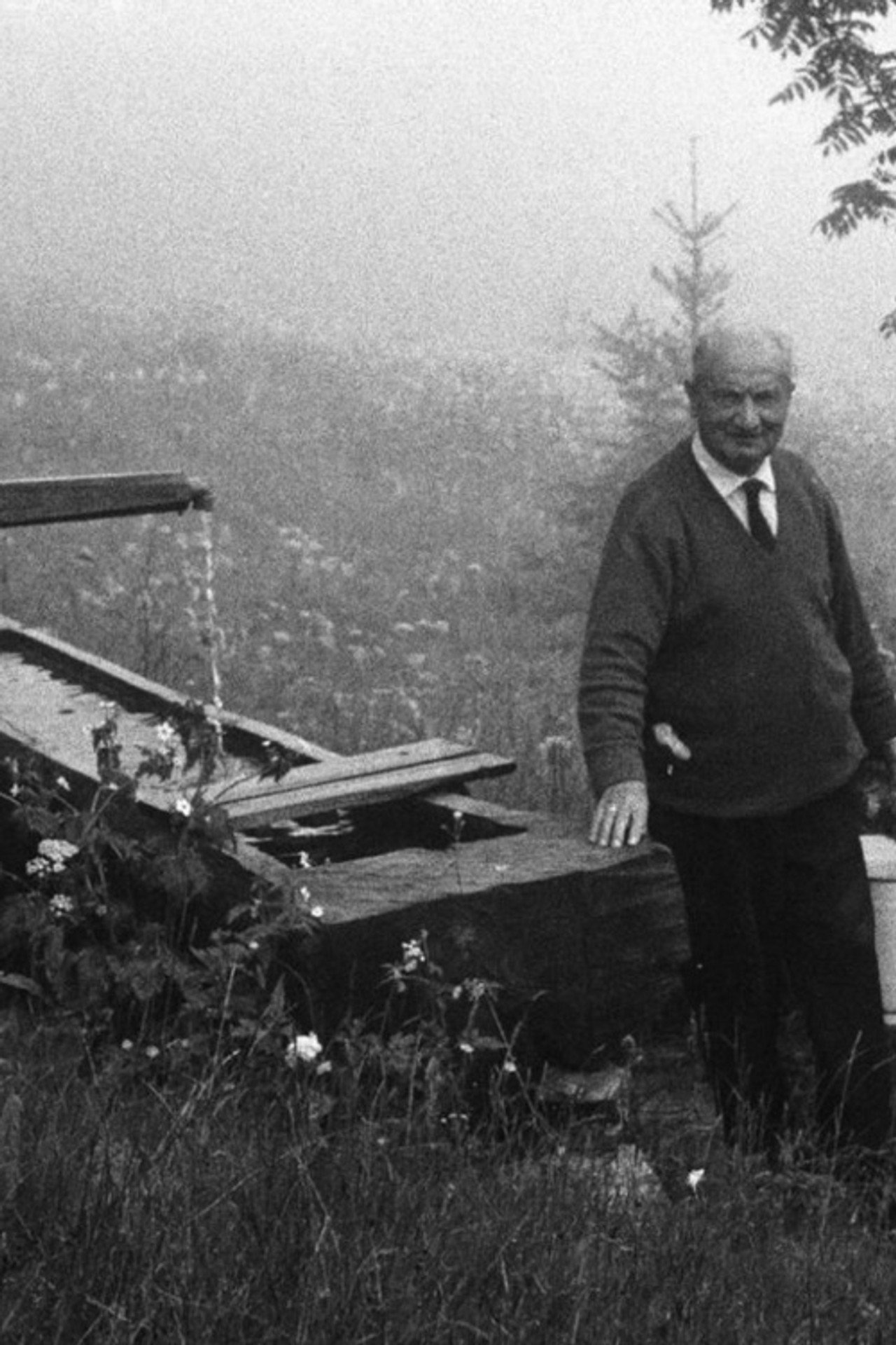In-Freiburg-Sein filmaffisch