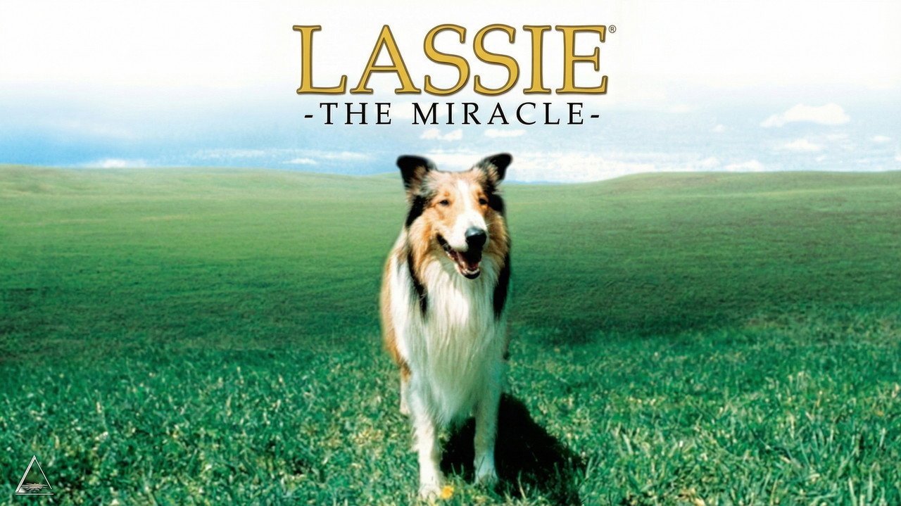 Lassie: The Miracle