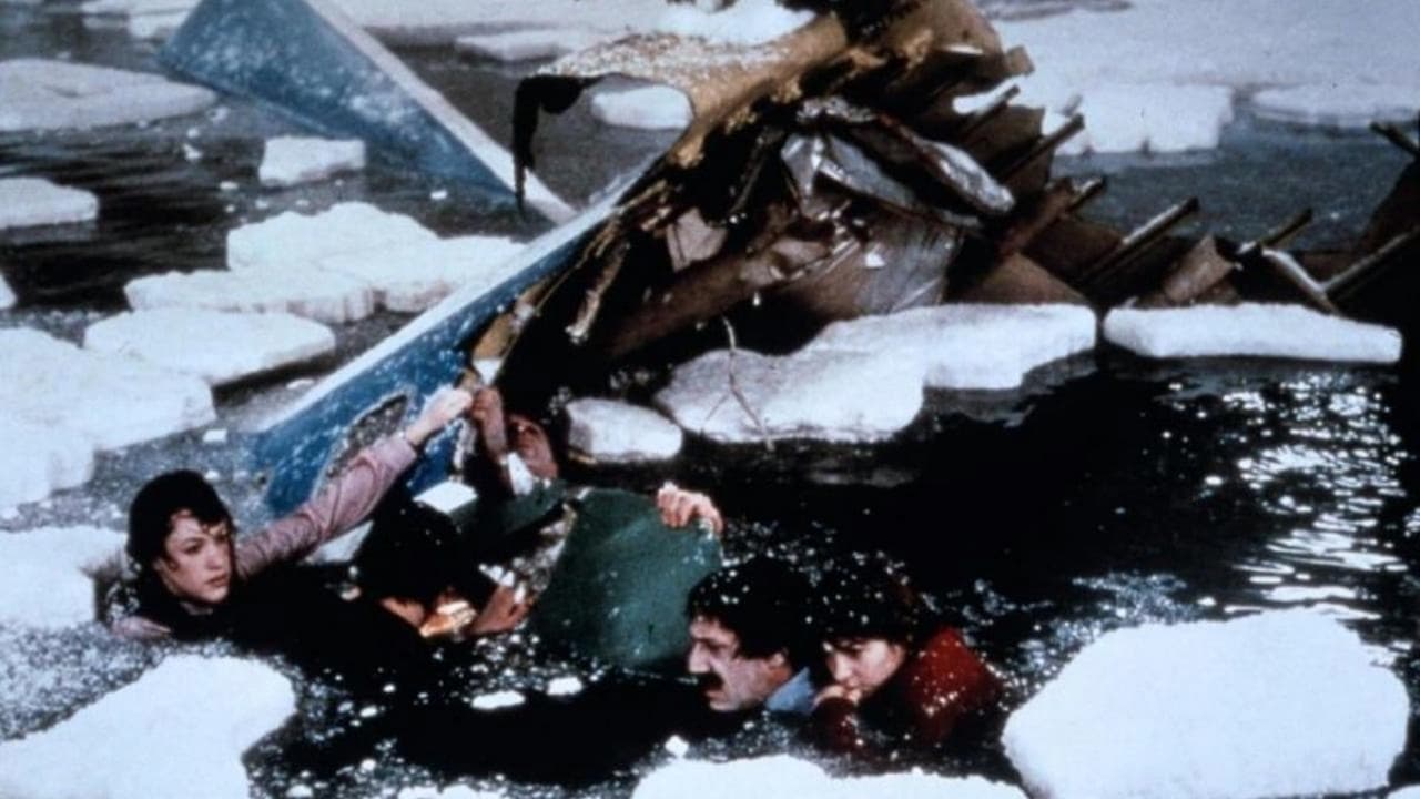 Katastrophe auf dem Potomac – Absturz in die eisigen Fluten (1984)