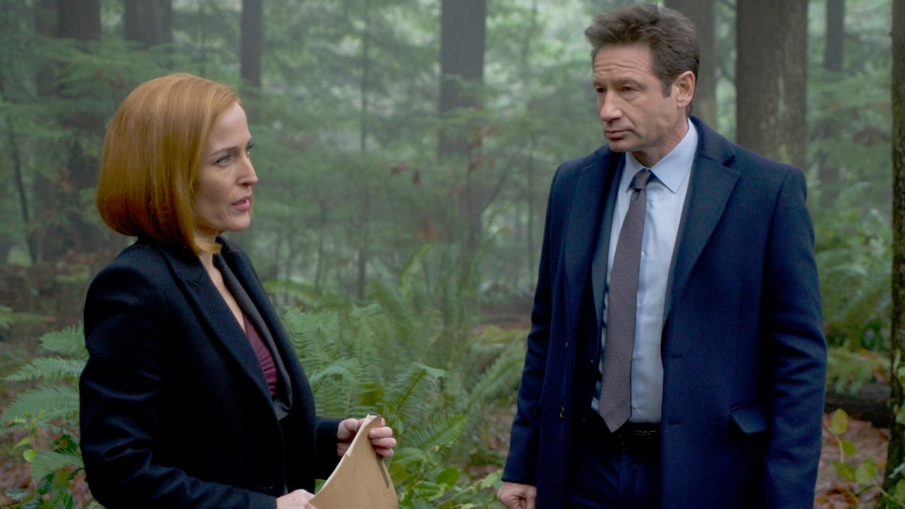 The X-Files - Season 11 Episode 8 : Familiar