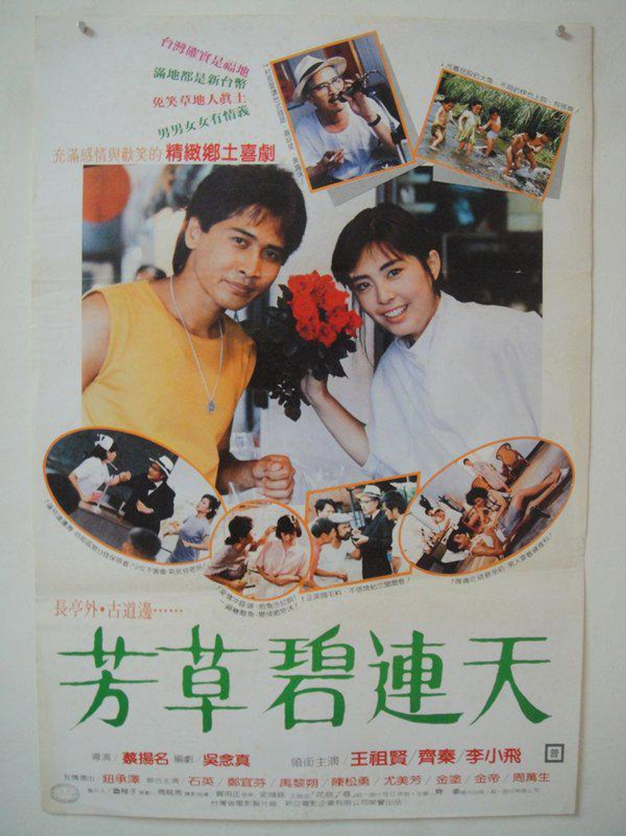 芳草碧連天 filmaffisch