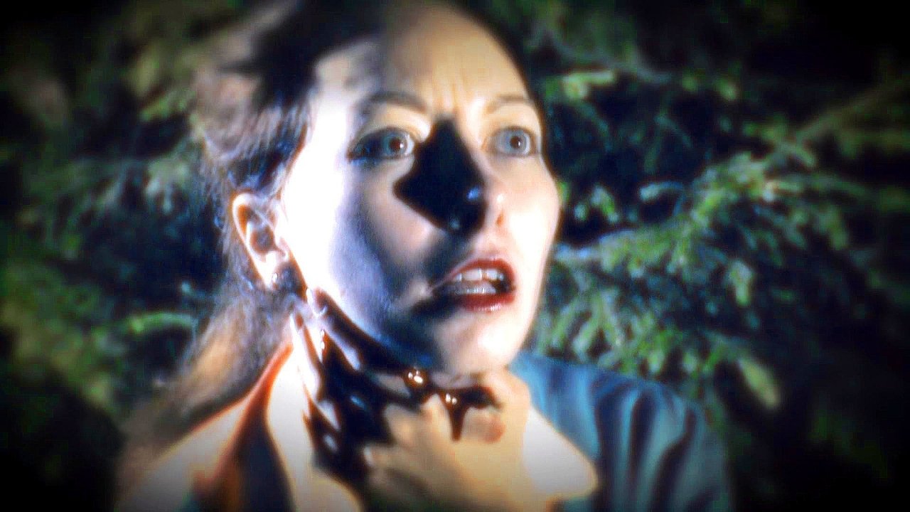 The investigation was conducted - Season 14 Episode 15 : Episode 15