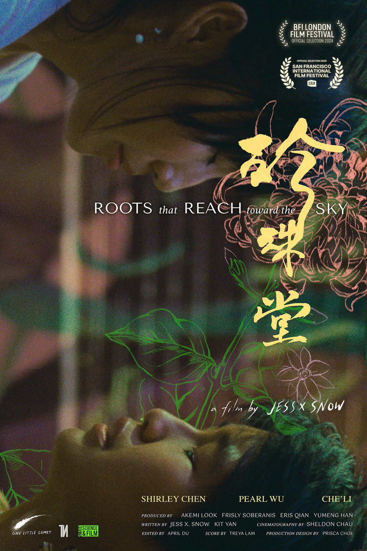 Roots That Reach Toward The Sky