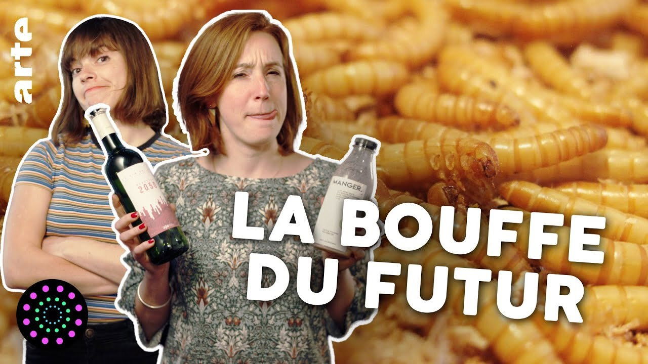 Le Vortex — Le repas du futur