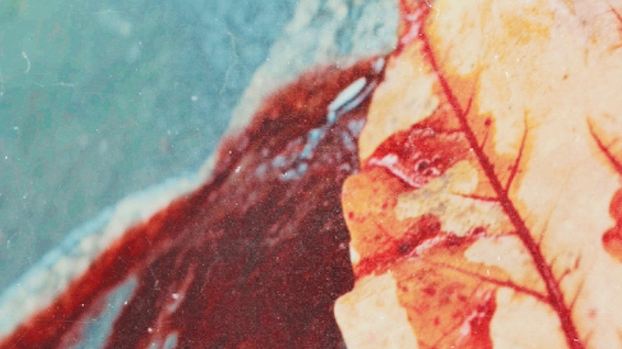 Bullets In The Fall