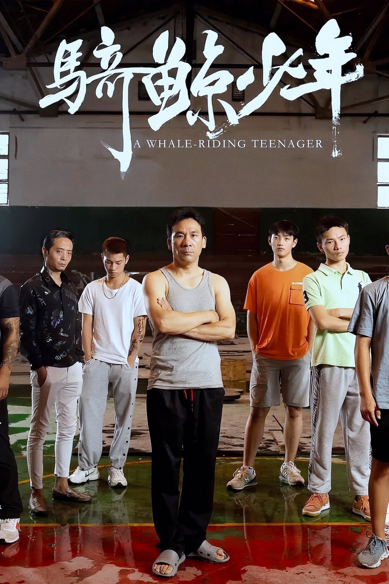 骑鲸少年 filmaffisch