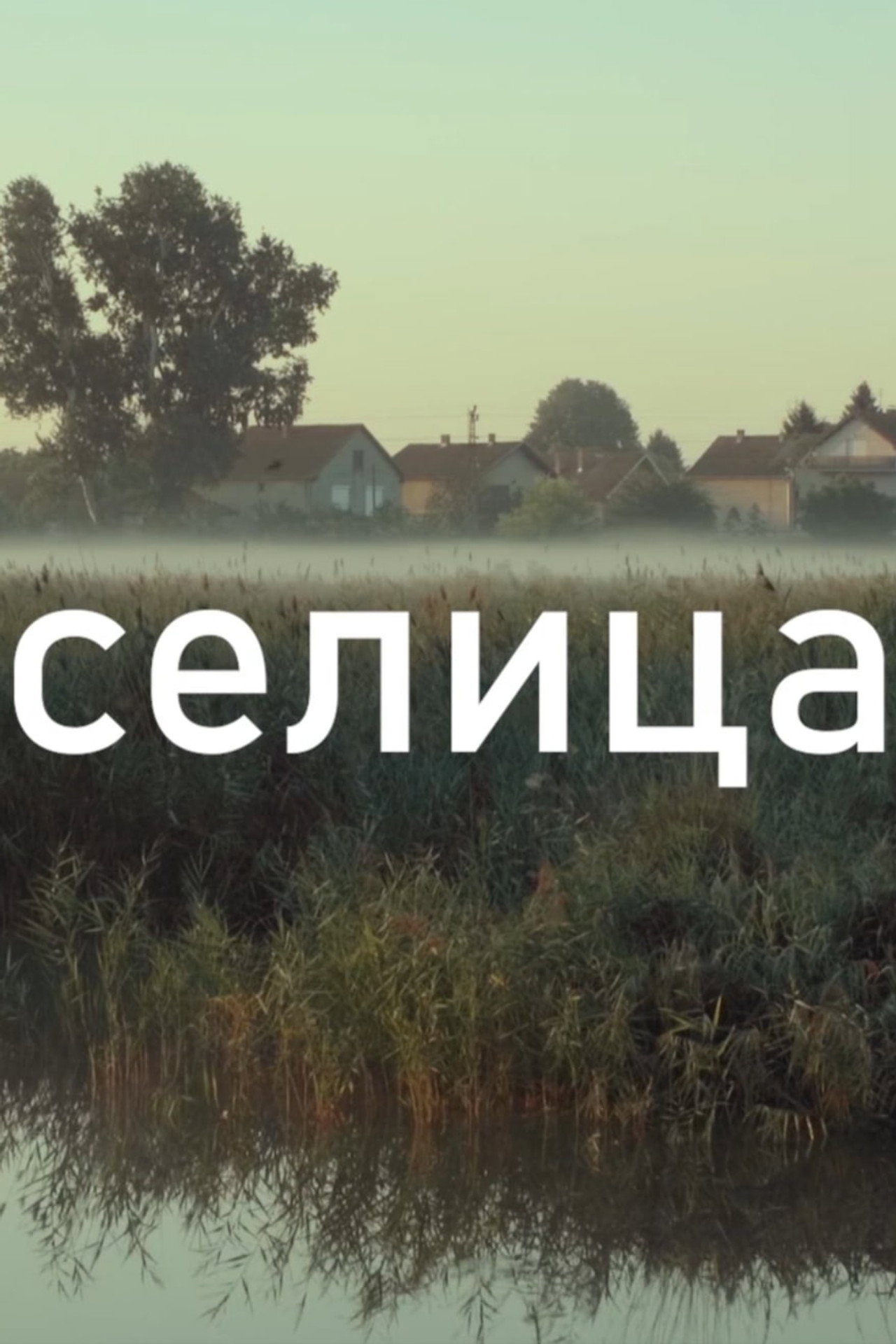 Selica filmaffisch