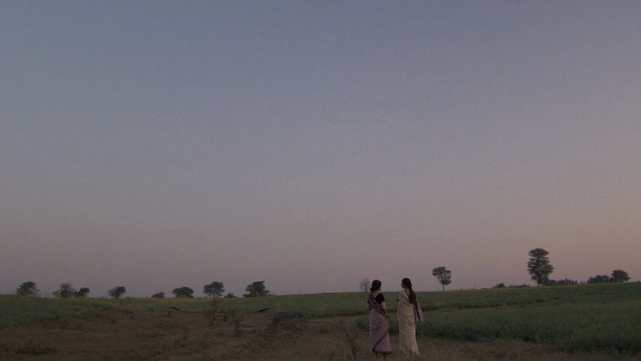 Marigold still 3