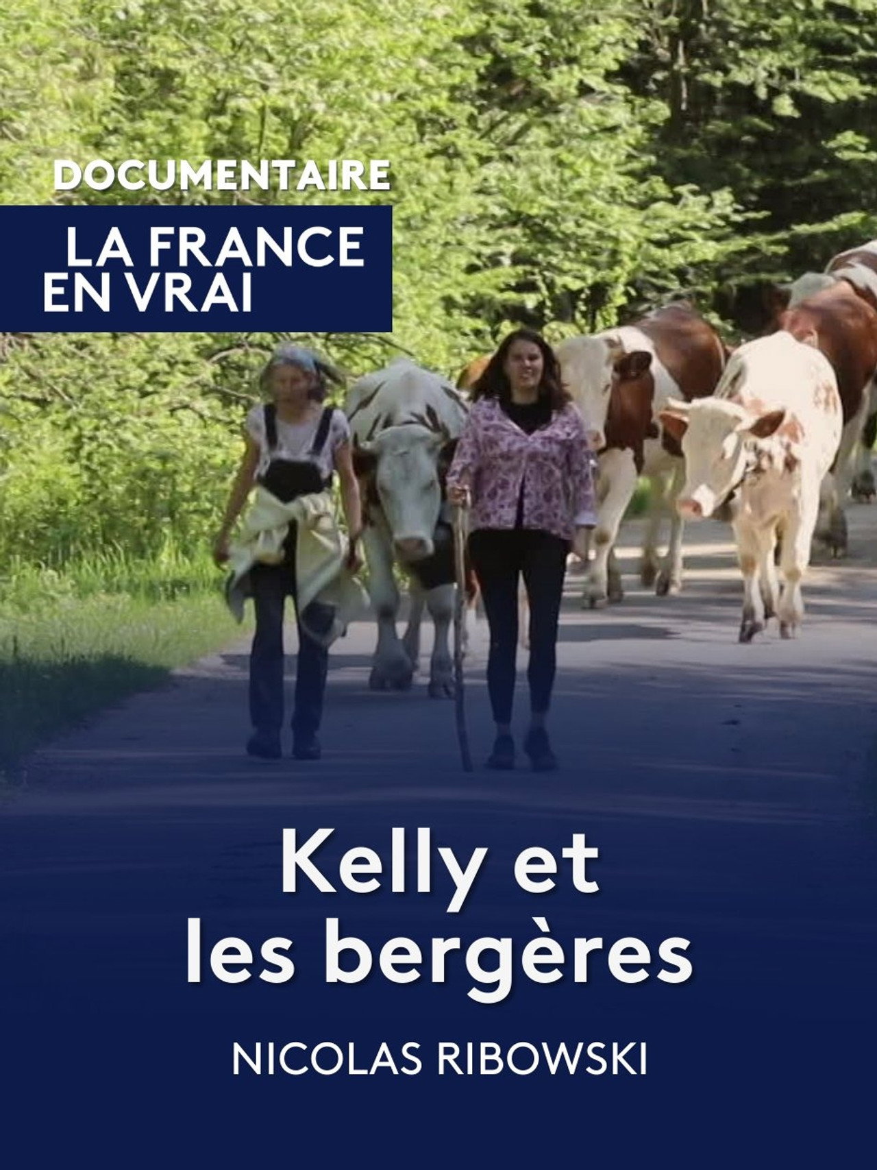 Kelly et les bergères filmaffisch