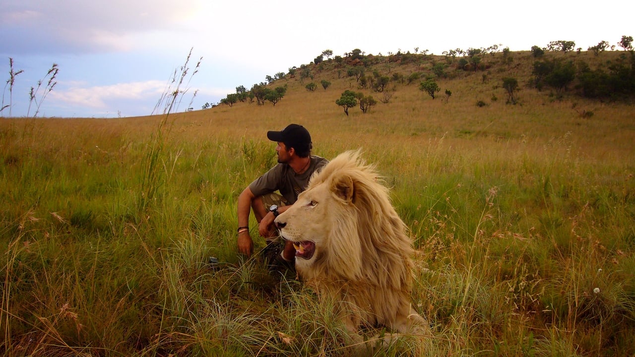 African Safari