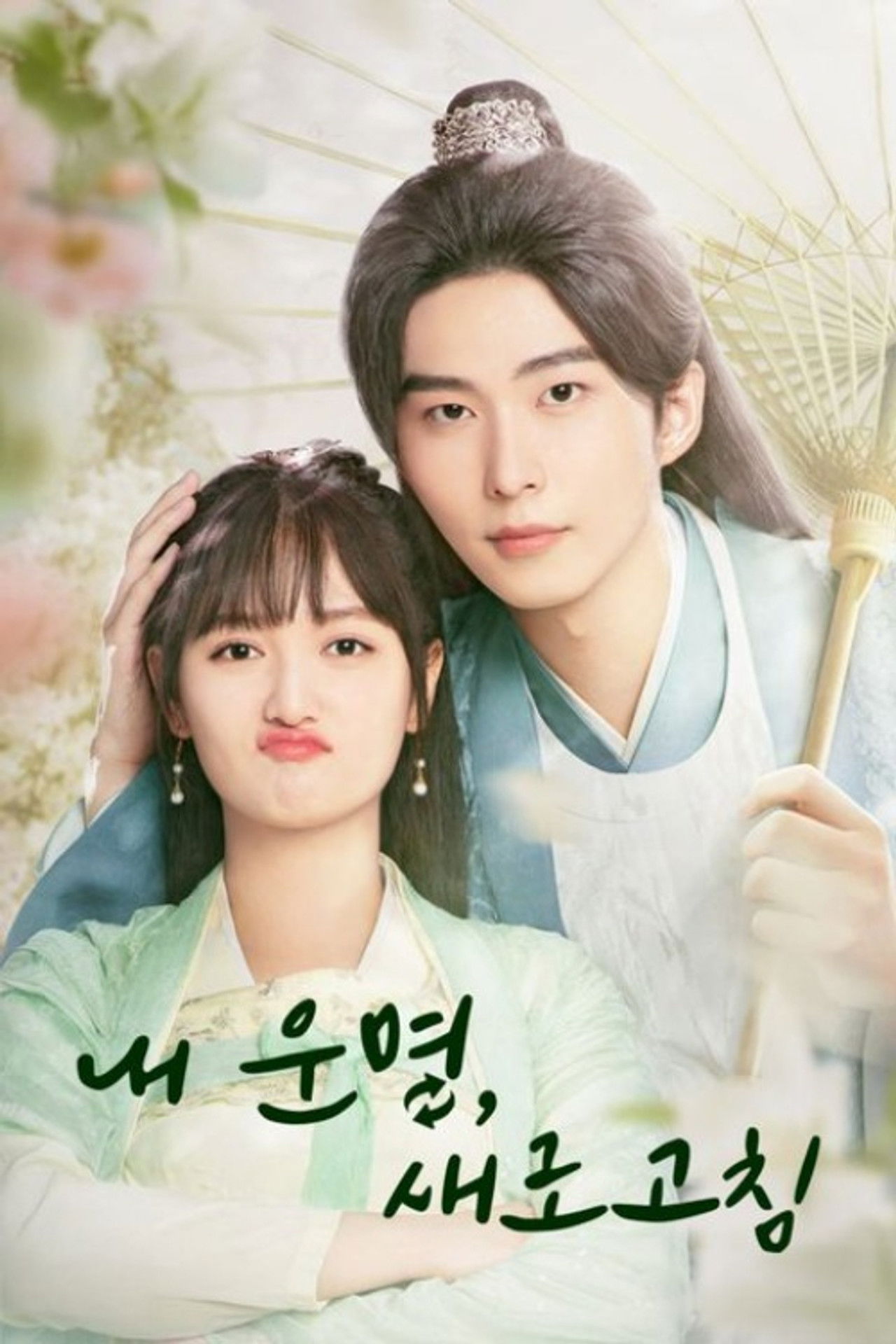 Rewriting Destiny poster