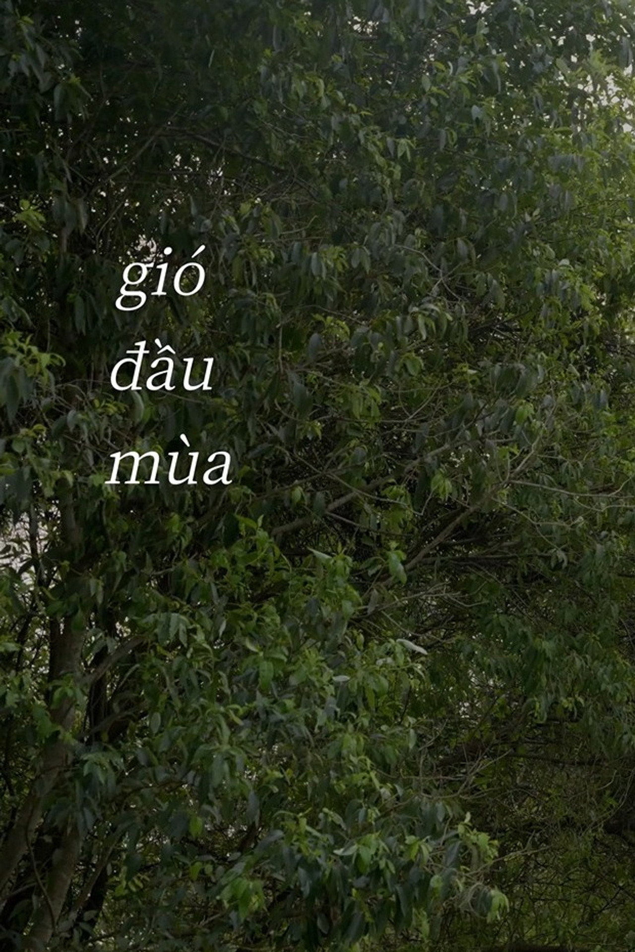 The Early Season Winds (2024)