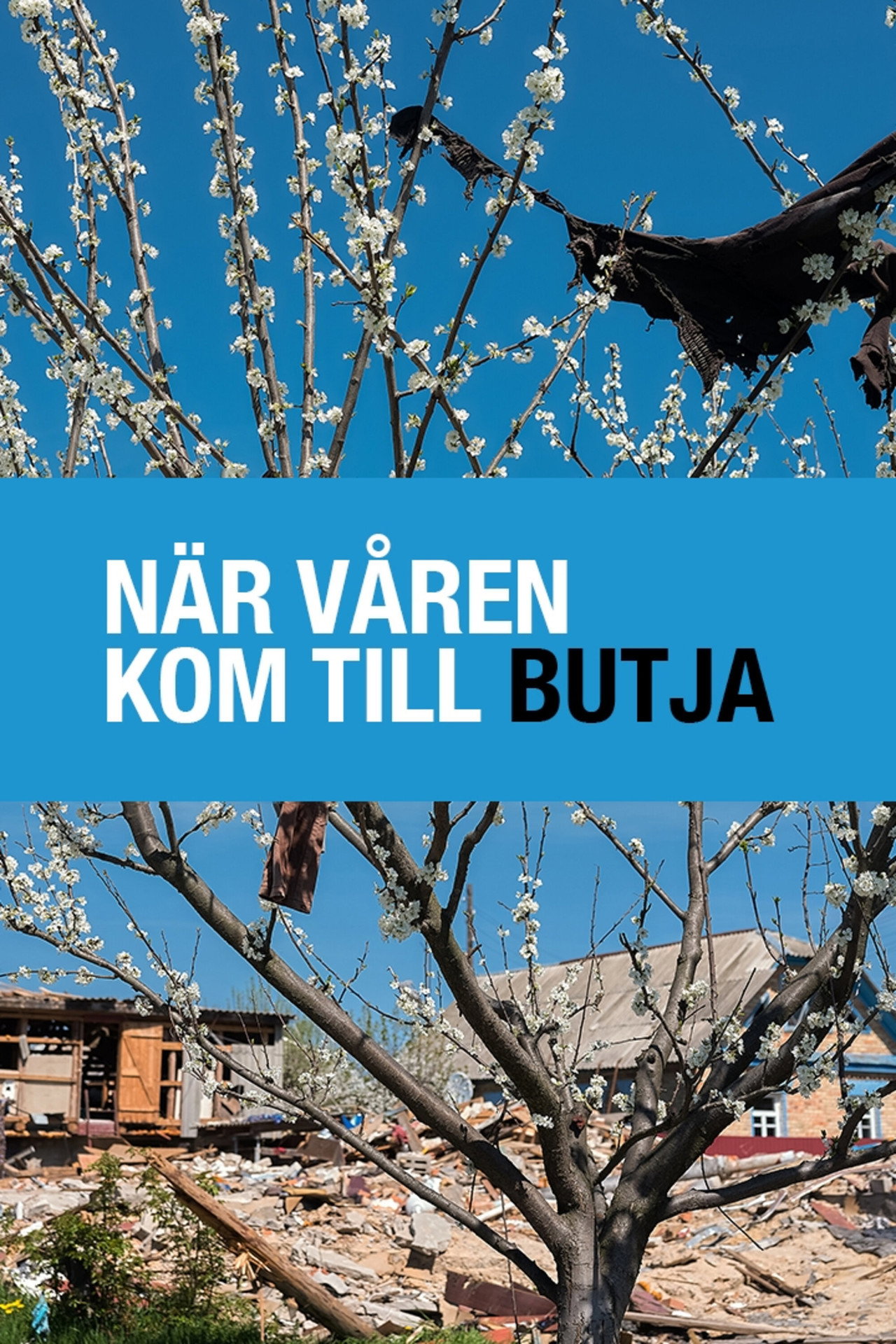 När våren kom till Butja filmaffisch