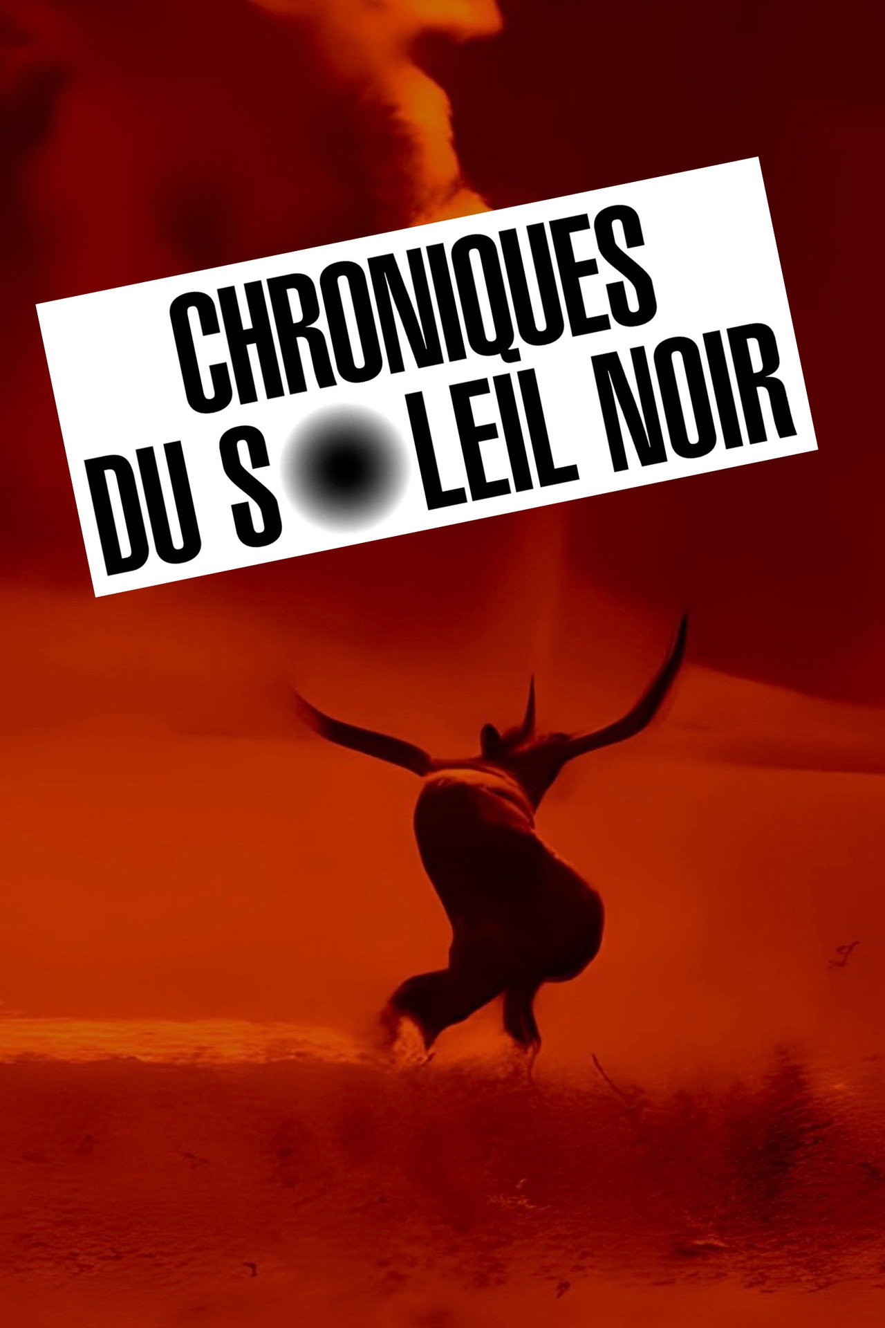 Chroniques du Soleil Noir filmaffisch