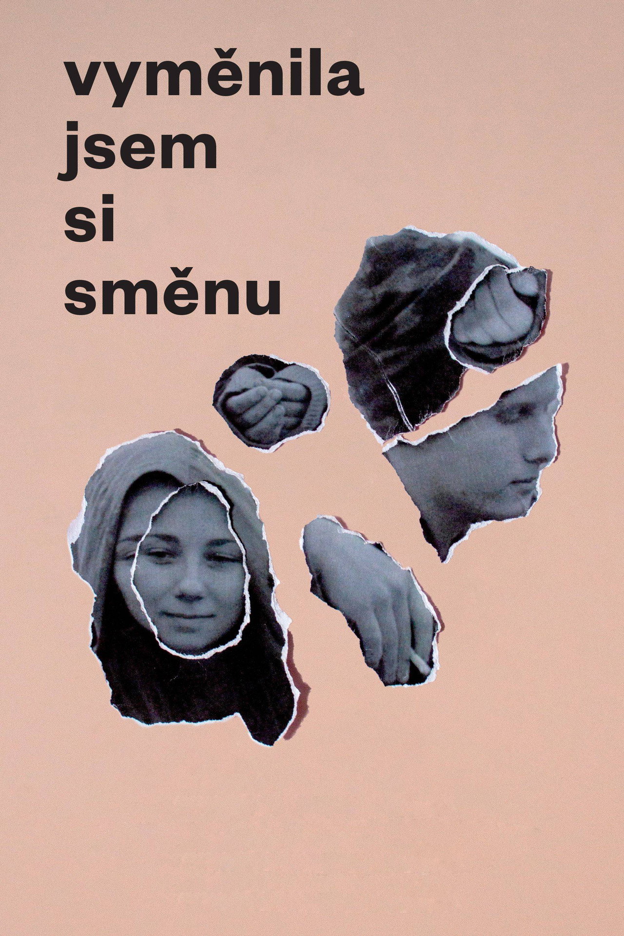 Vyměnila jsem si směnu filmaffisch