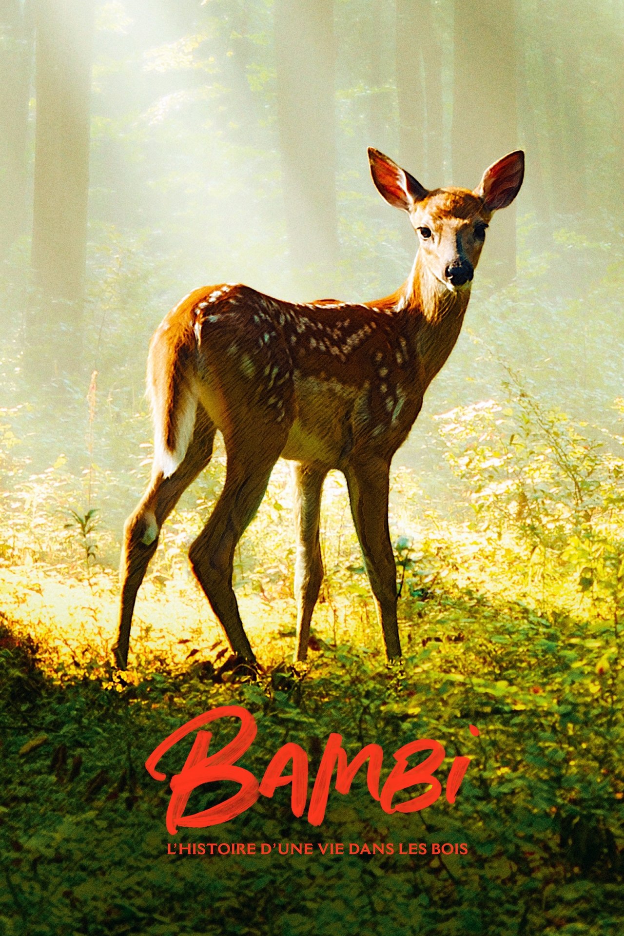 Bambi, l'histoire d'une vie dans les bois poster