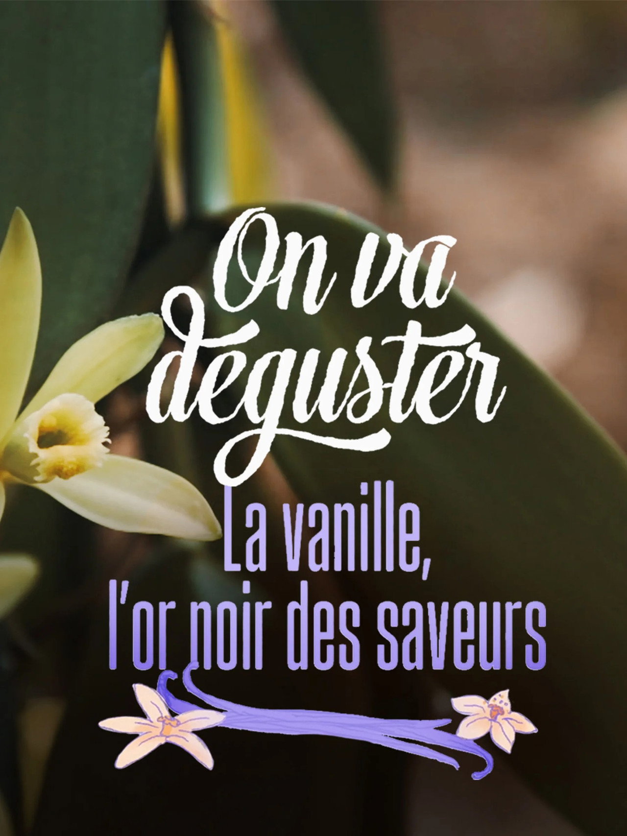 On va déguster : La vanille, l'or noir des saveurs filmaffisch
