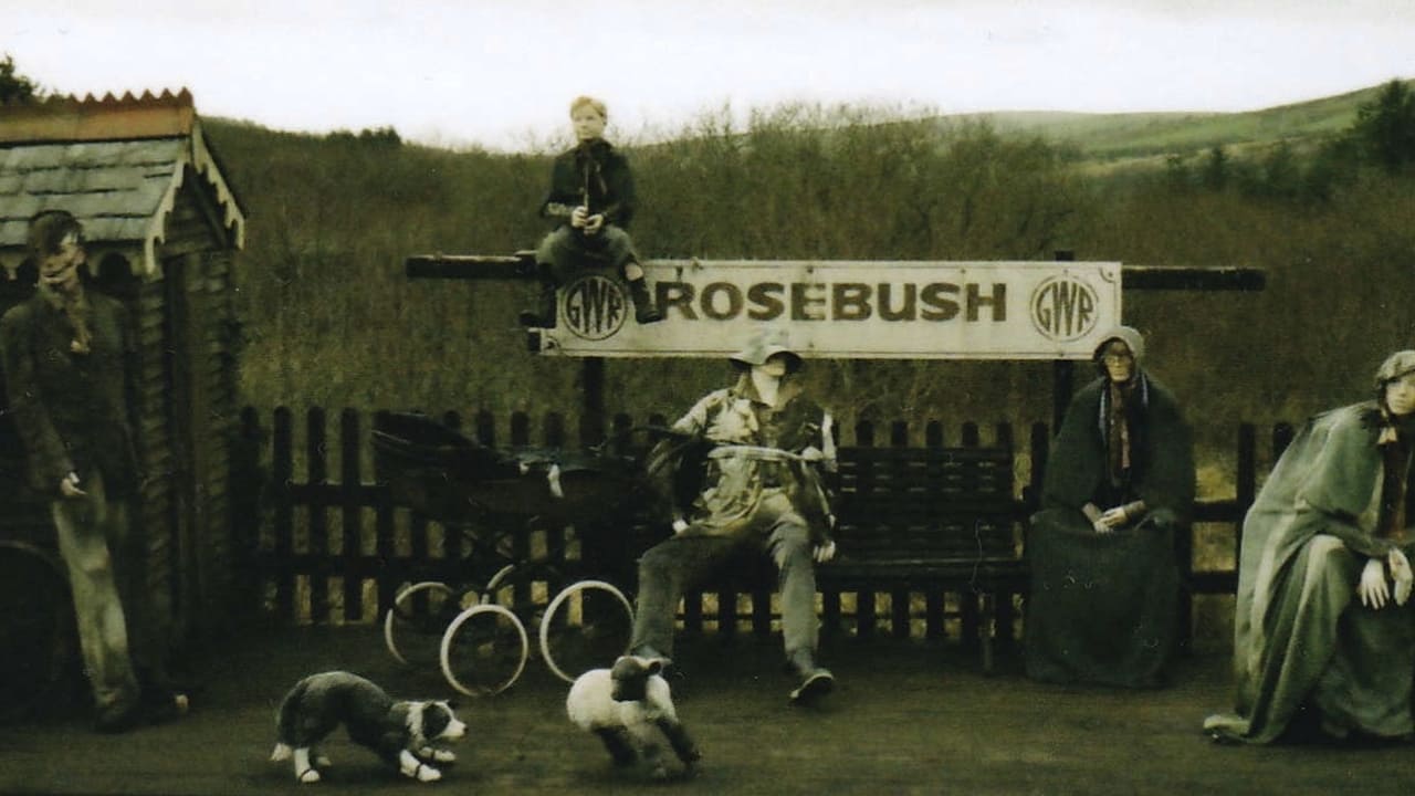 Mwll (i një Zjarri) Jo gjallë backdrop